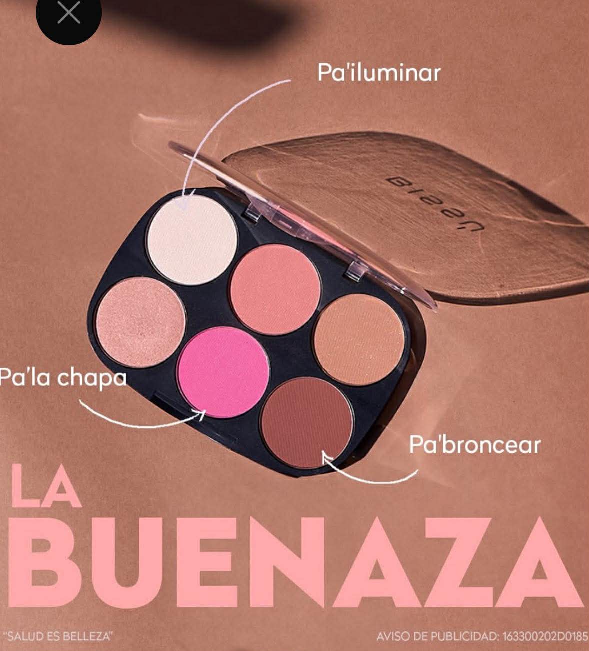 Paleta para Rostro BISSÚ/ RUBORES